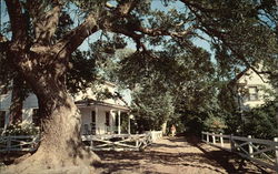 Along the Village Street Ocracoke, NC Postcard Postcard