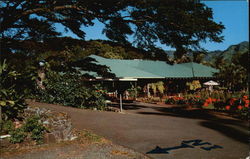 Waioli Tea Room Postcard