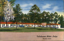 Tallahassee Motor Lodge Florida Postcard Postcard