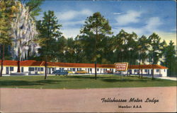 Tallahassee Motor Lodge Postcard