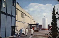 Uniformed Men in Industrial District Postcard