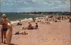 One of the Many Beaches on Cape Cod Massachusetts Postcard Postcard