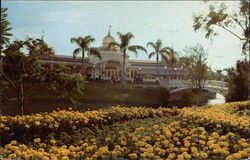 Stock #379834 Thumbnail