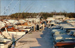 Lyman's Sport Fishing Dock, Inc Postcard
