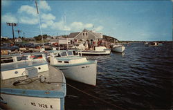 Chatham Fish Pier Postcard