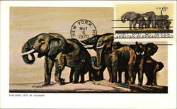 African Elephant Herd Postage Stamp - First Day of Issue - May 6, 1970 Maximum Cards Postcard Postcard