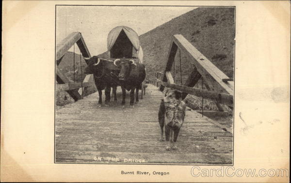 Ox-Drawn Wagon on Bridge Burnt RIver Oregon