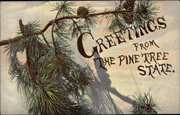 Greetings from the Pine Tree State Maine