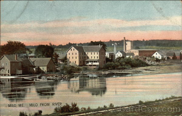 Milo from River Maine