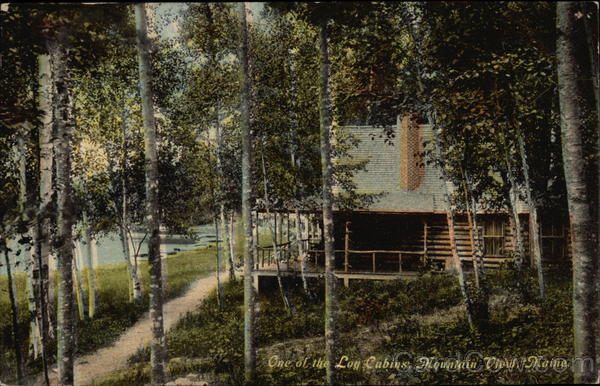 One of the Log Cabins by the Lake in the Trees Mountainview Maine