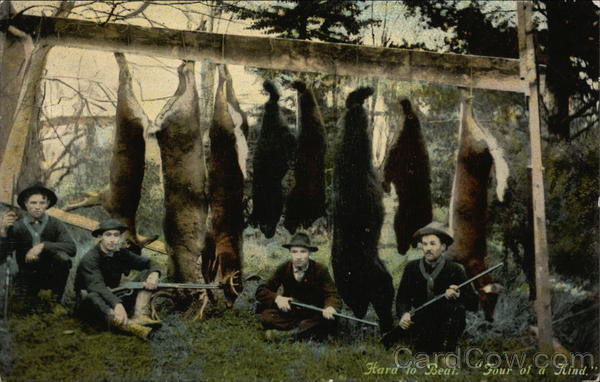 Hard to Bear Four of a Kind Hunting