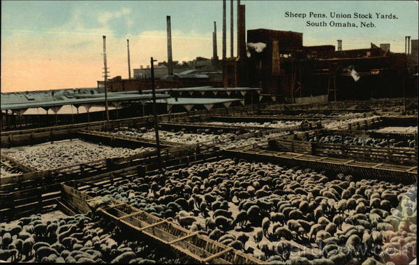 Sheep Pens at Union Stock Yards Omaha Nebraska