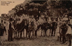 Penning Ponies Chincoteague, VA Postcard Postcard