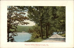 Popular Drive Postcard