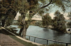 Mill River Pond Postcard