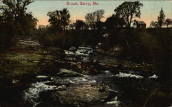Brook Surry, ME Postcard Postcard