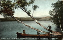 Scene near the Rangeley Lake House on Dixons Island Maine Postcard Postcard