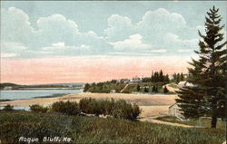 Scenic View of Shore and Water Postcard