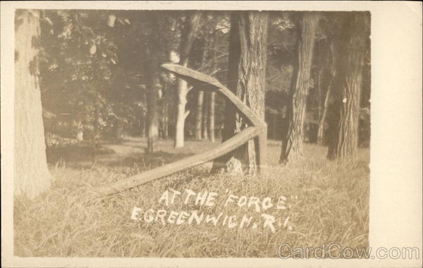 At the Forge - Wooded Area East Greenwich Rhode Island