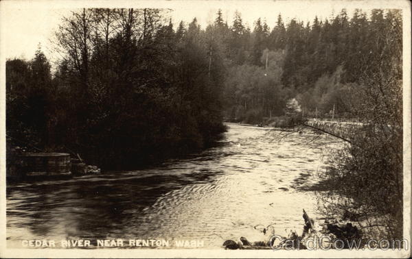 Cedar River Renton Washington