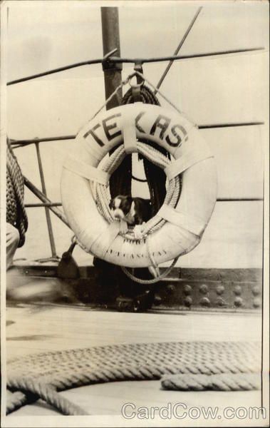 U.S.S. Texas - Life Preserver Great White Fleet