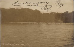 View of River Postcard