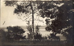 Searsport Harbor Maine Postcard Postcard