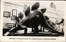 Restoration of Armored Dinosaur, U.S. National Museum, Smithesonian Institution Postcard