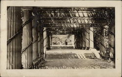 Pergola on Paseo Postcard