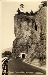 Oneonta Tunnel, Columbia River Highway Postcard