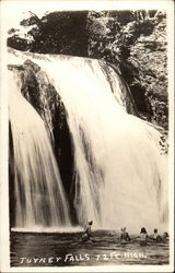Turner Falls Postcard