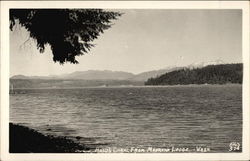 Hood's Canal from Madrona Lodge Postcard