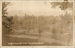Woodland Park Kalispell, MT Postcard Postcard