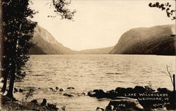 Scenic View of Lake Willoughby Postcard