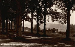 Queen's Grove in Royal Tunbridge Wells Kent, England Postcard Postcard