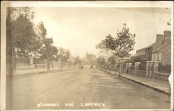View of O'Connel Avenue Postcard