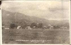 Stock #382052 Thumbnail