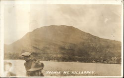 Toomie Mountain Postcard