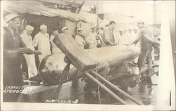 Inspecting A Torpedo Postcard