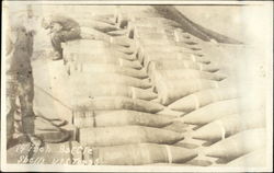 14 inch Battle Shells on the USS Texas Postcard