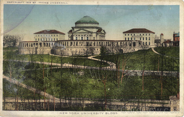 New York University Bldgs