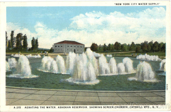 New York City Water Supply