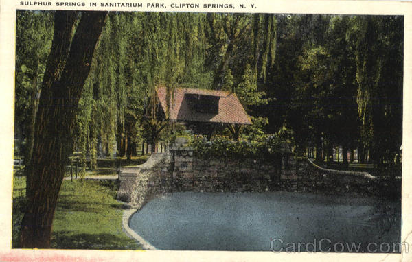 Sulphur Springs In Sanitarium Park Clifton Springs New York