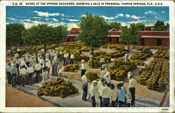 Scene At The Sponge Exchange Tarpon Springs Florida