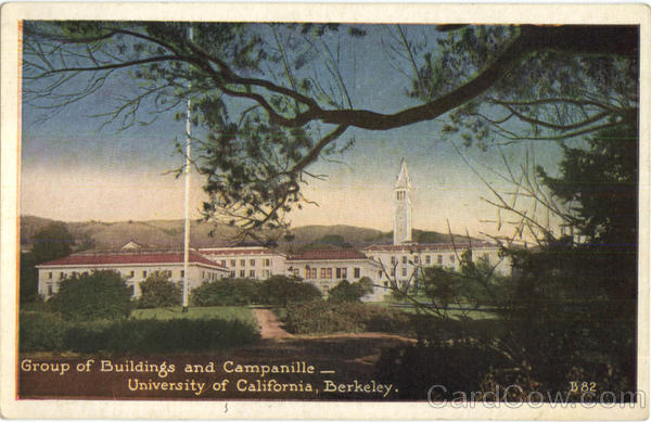 Group Of Buildings And Campanille, University of California Berkeley