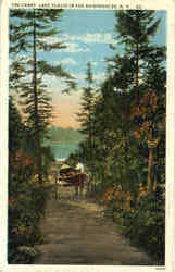 The Carry Lake Placid In The Adirondacks New York Postcard Postcard