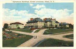Agricultural Buildings, Cornell University Postcard