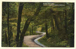 Goldwin Smith Walk, Cornell University Campus Ithaca, NY Postcard Postcard