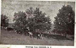 Greetings From Candor Postcard