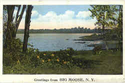 Greetings From Big Moose New York Postcard Postcard